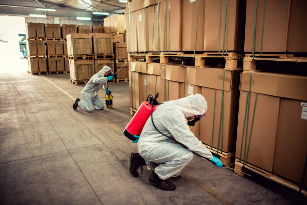 Best Wasp Removal Services  in Mullens, WV
