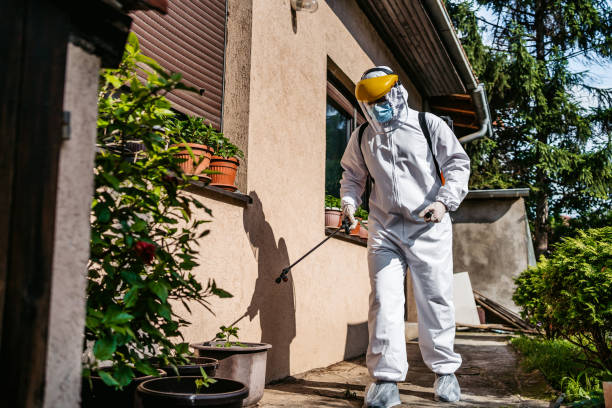 Best Cockroach Control Services  in Mullens, WV