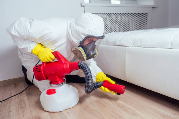 Best Pest Control Near Me in Mullens, WV