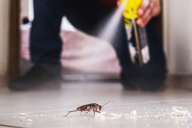 Best Mosquito Control Services  in Mullens, WV